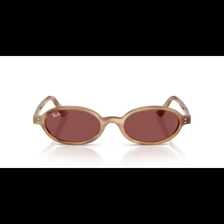 Ray-Ban  RB4472 - miniatura 4