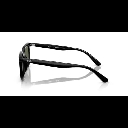 Ray-Ban  RB4439D - miniatura 2