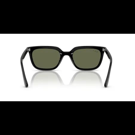 Ray-Ban  RB4439D - miniatura 3
