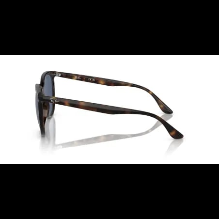 Ray-Ban  RB4378 - miniatura 2