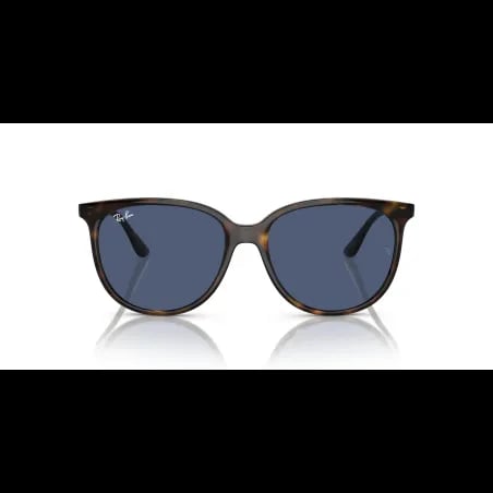 Ray-Ban  RB4378 - miniatura 4