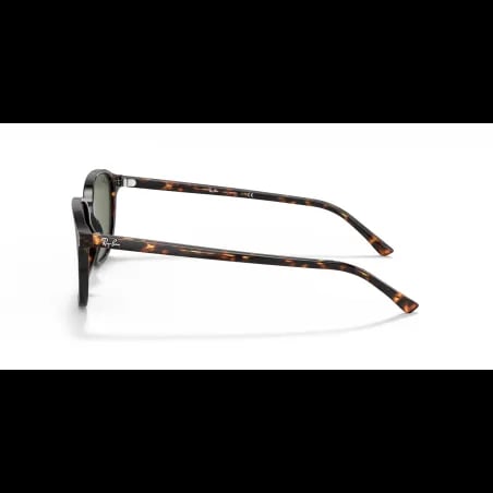 Ray-Ban LEONARD RB2193 - miniatura 2