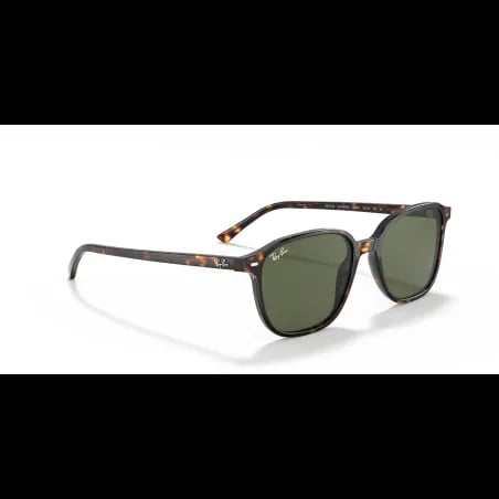 Ray-Ban LEONARD RB2193 - miniatura 6
