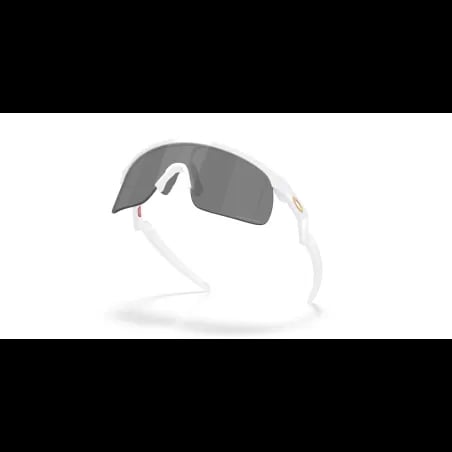 Oakley RESISTOR OJ9010 - miniatura 6