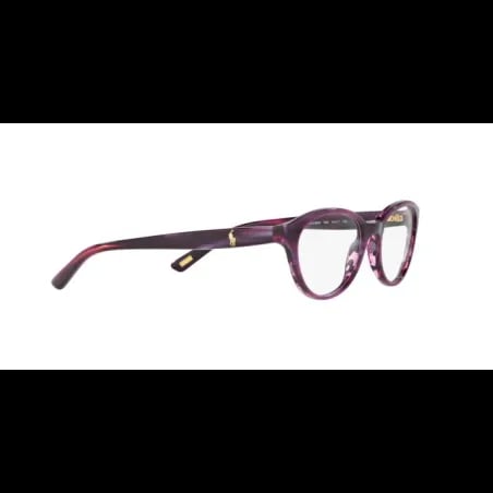 Polo Ralph Lauren  PP8526 - miniatura 10
