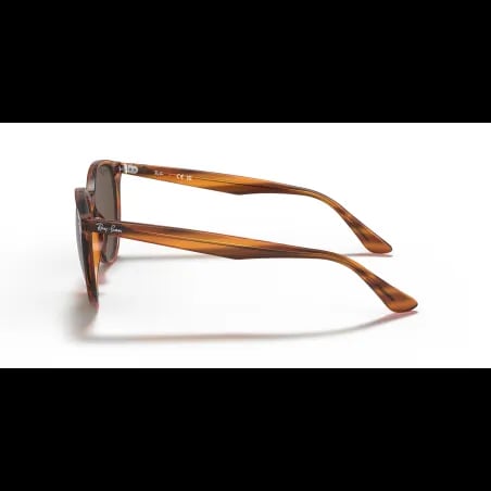 Ray-Ban  RB4305 - miniatura 2