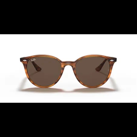 Ray-Ban  RB4305 - miniatura 4