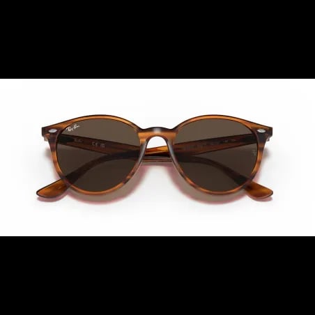 Ray-Ban  RB4305 - miniatura 5