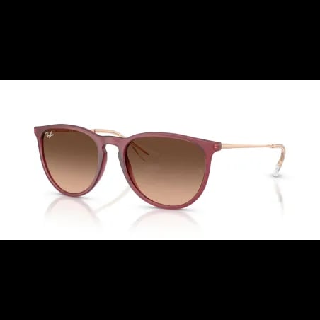 Ray-Ban ERIKA RB4171 - miniatura 1
