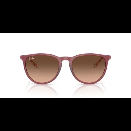 Ray-Ban ERIKA RB4171 - miniatura 4