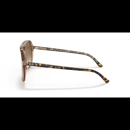 Ray-Ban BILL RB2198 - miniatura 2