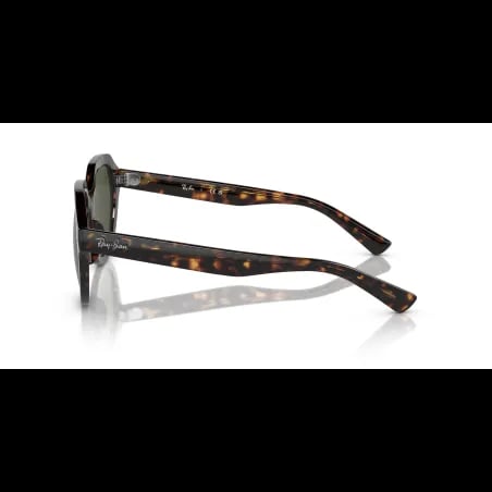Ray-Ban GINA RB4399 - miniatura 2