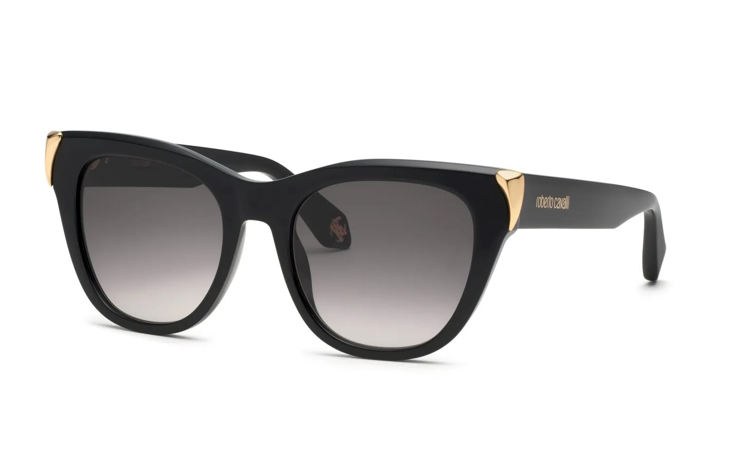 Roberto Cavalli  SRC095M (SRC095M-0700_54)