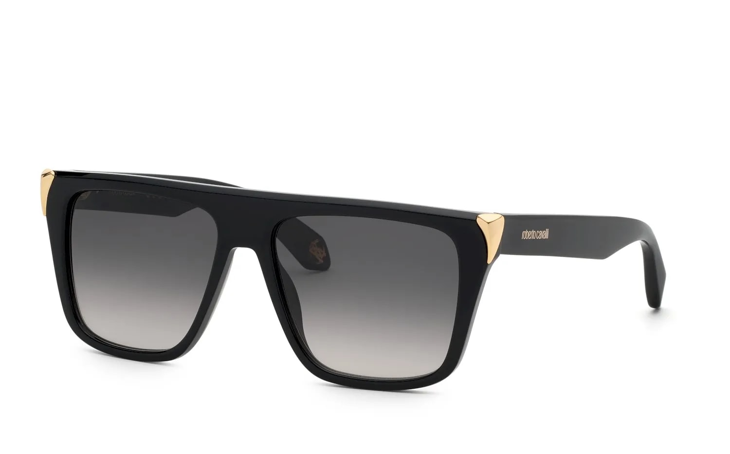 Roberto Cavalli  SRC094M (SRC094M-0700_57)