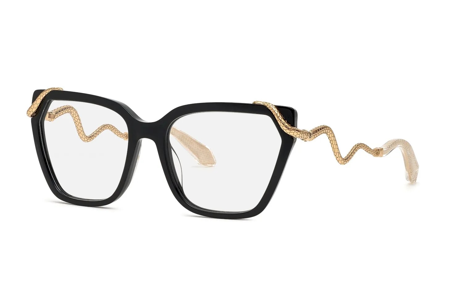 Roberto Cavalli  VRC020M (VRC020M-0700_55)