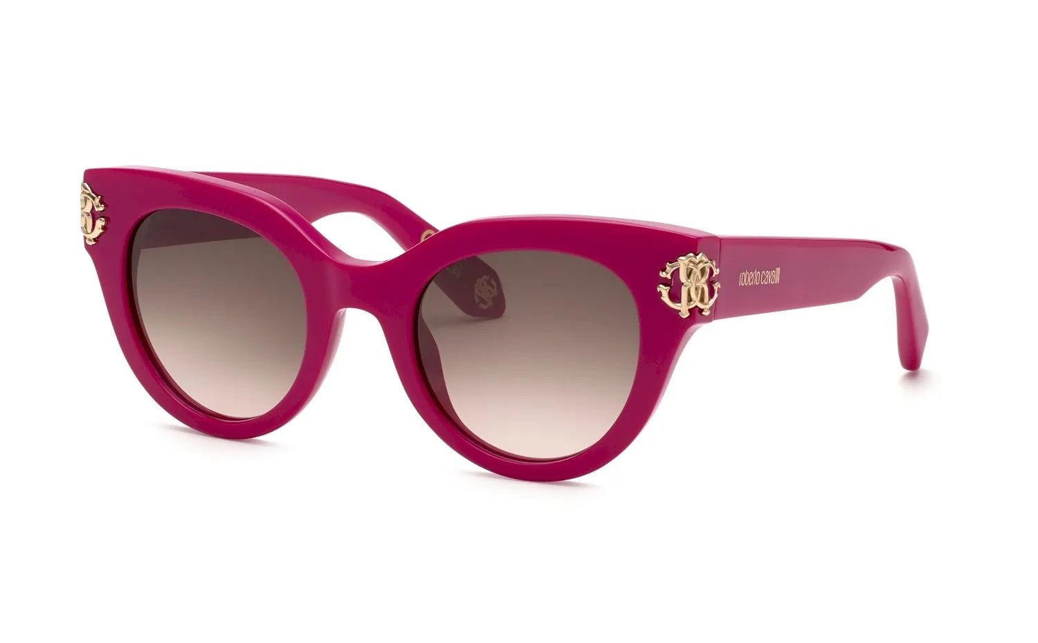 Roberto Cavalli  SRC065M (SRC065M-09M3_50)