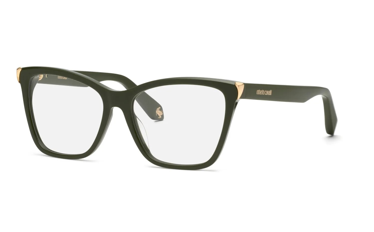 Roberto Cavalli  VRC101M (VRC101M-0C36_55)