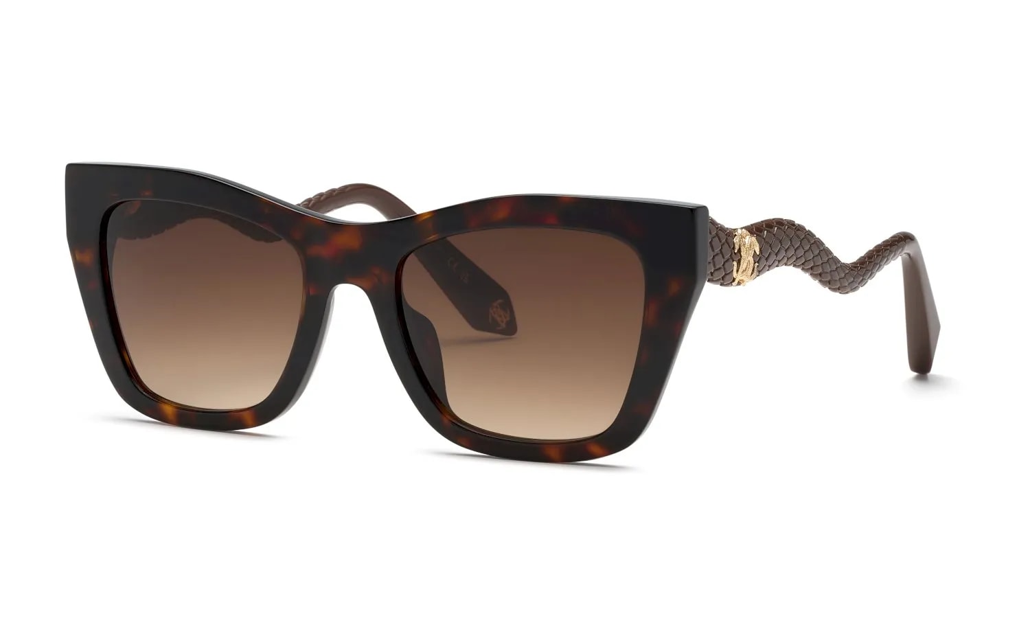 Roberto Cavalli  SRC129M (SRC129M-0743_54)