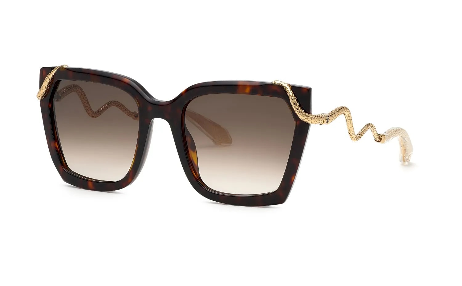 Roberto Cavalli  SRC034M (SRC034M-0743_56)