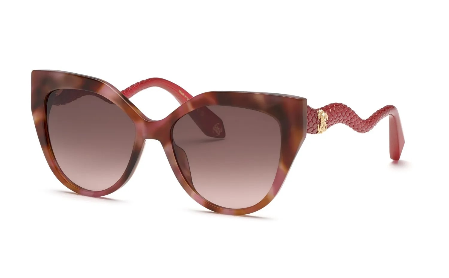 Roberto Cavalli  SRC138M (SRC138M-01GQ_55)
