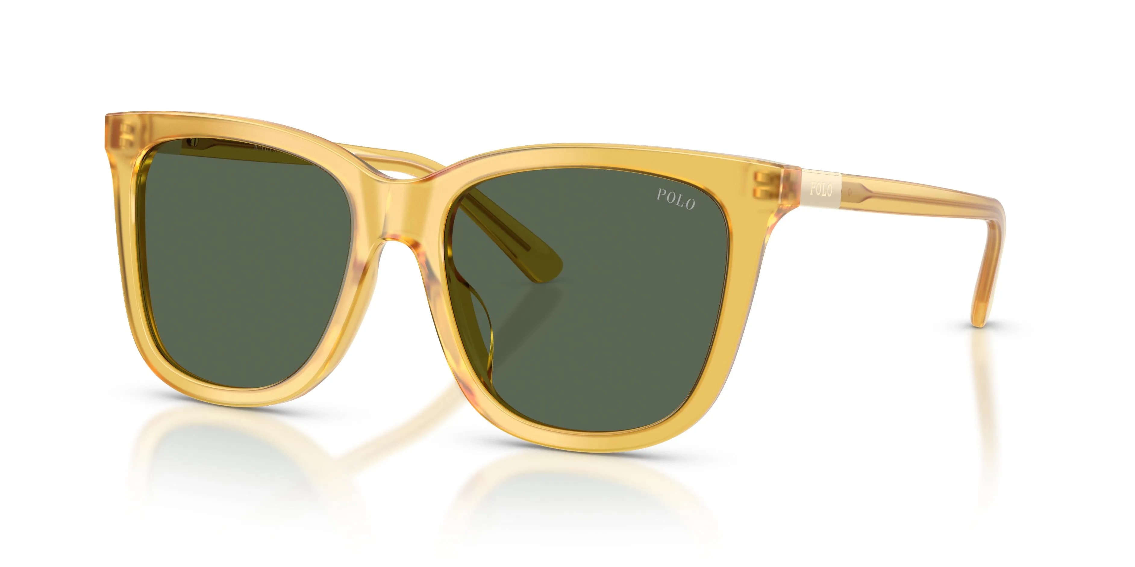 Polo Ralph Lauren  PH4201U (PH4201U-500571_55)