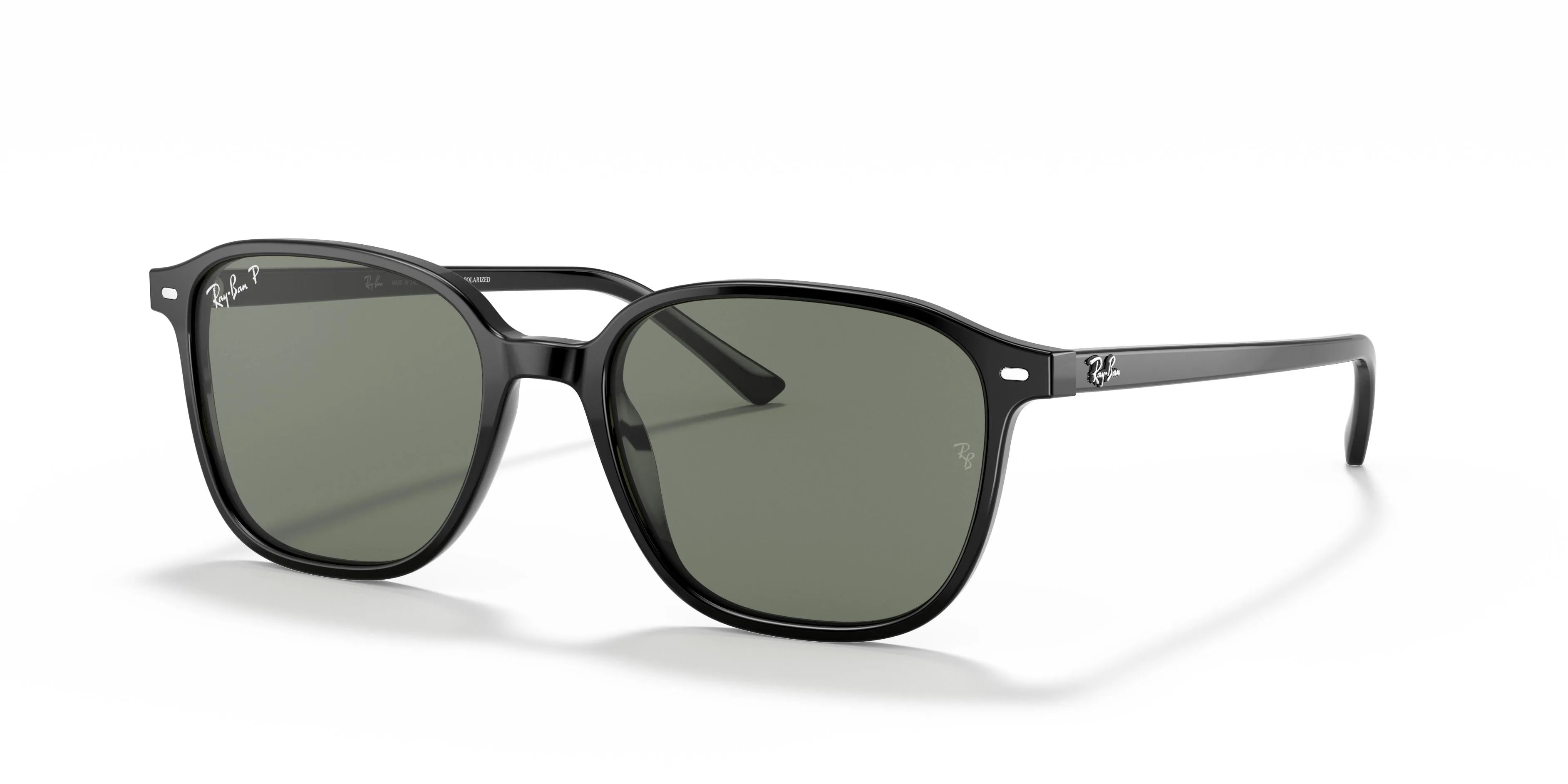 Ray-Ban LEONARD RB2193 (RB2193-901/58_53)