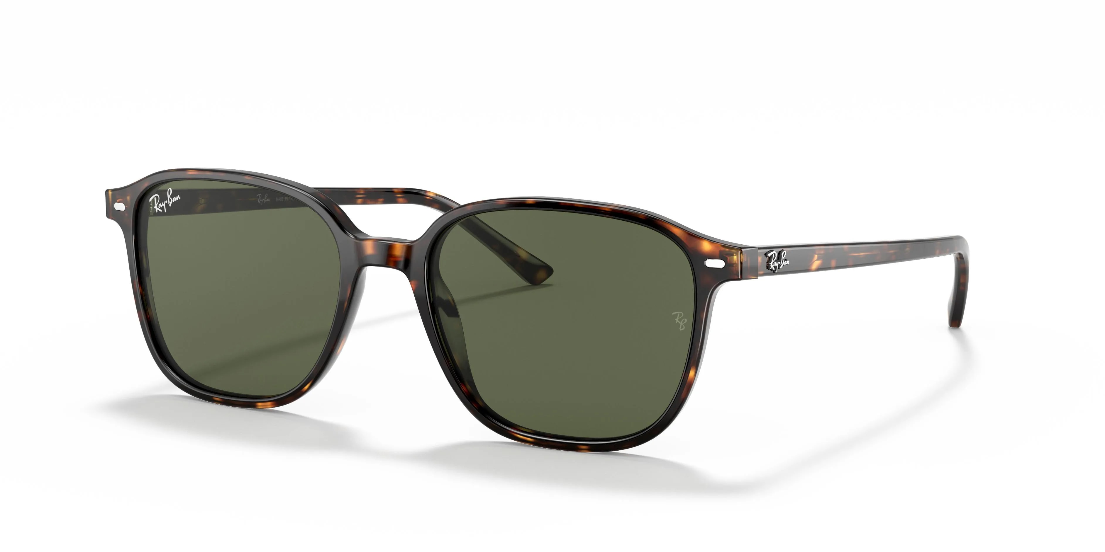 Ray-Ban LEONARD RB2193 (RB2193-902/31_53)