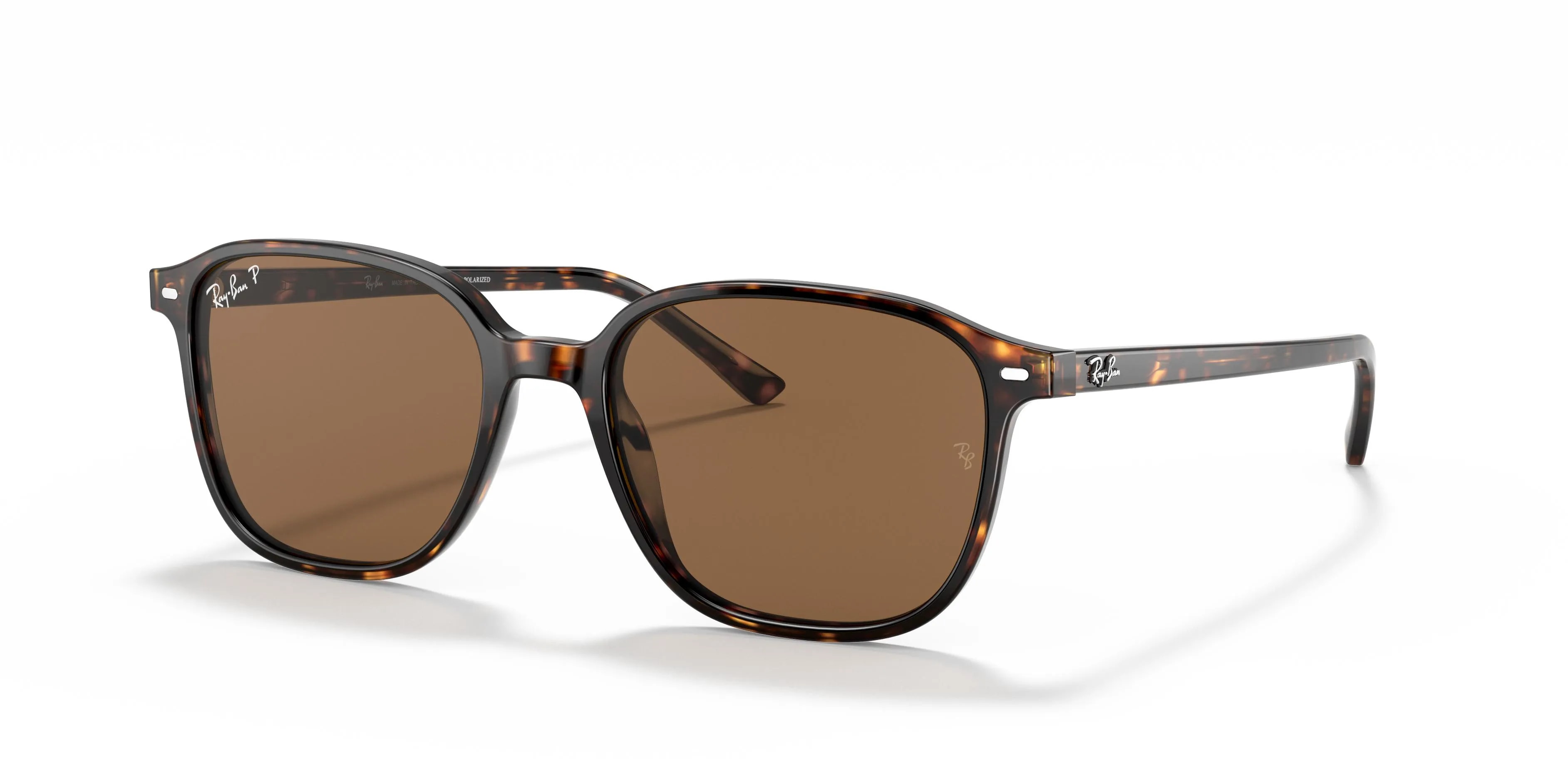 Ray-Ban LEONARD RB2193 (RB2193-902/57_53)