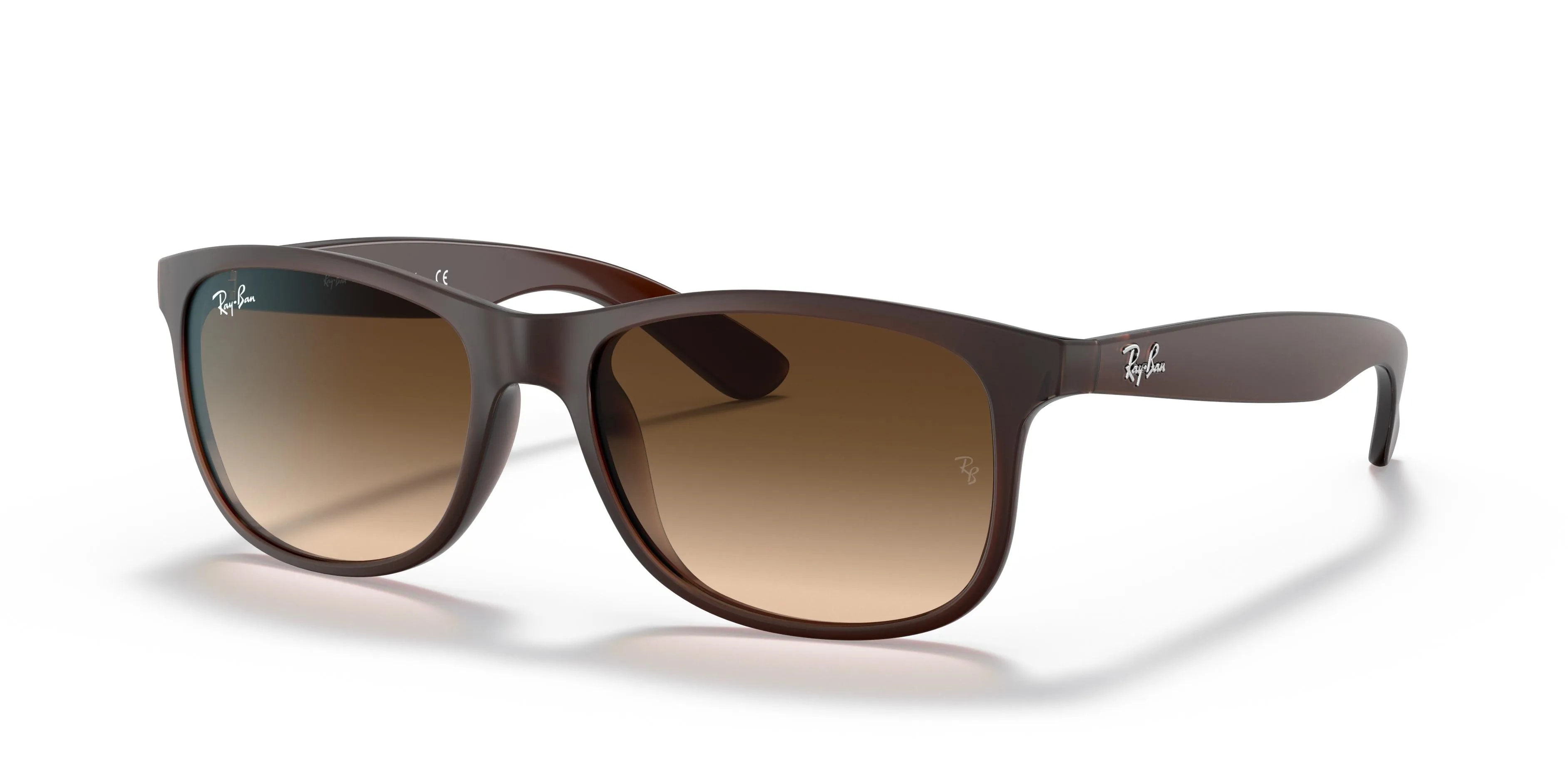 Ray-Ban ANDY SUN (RB4202-607313_55)