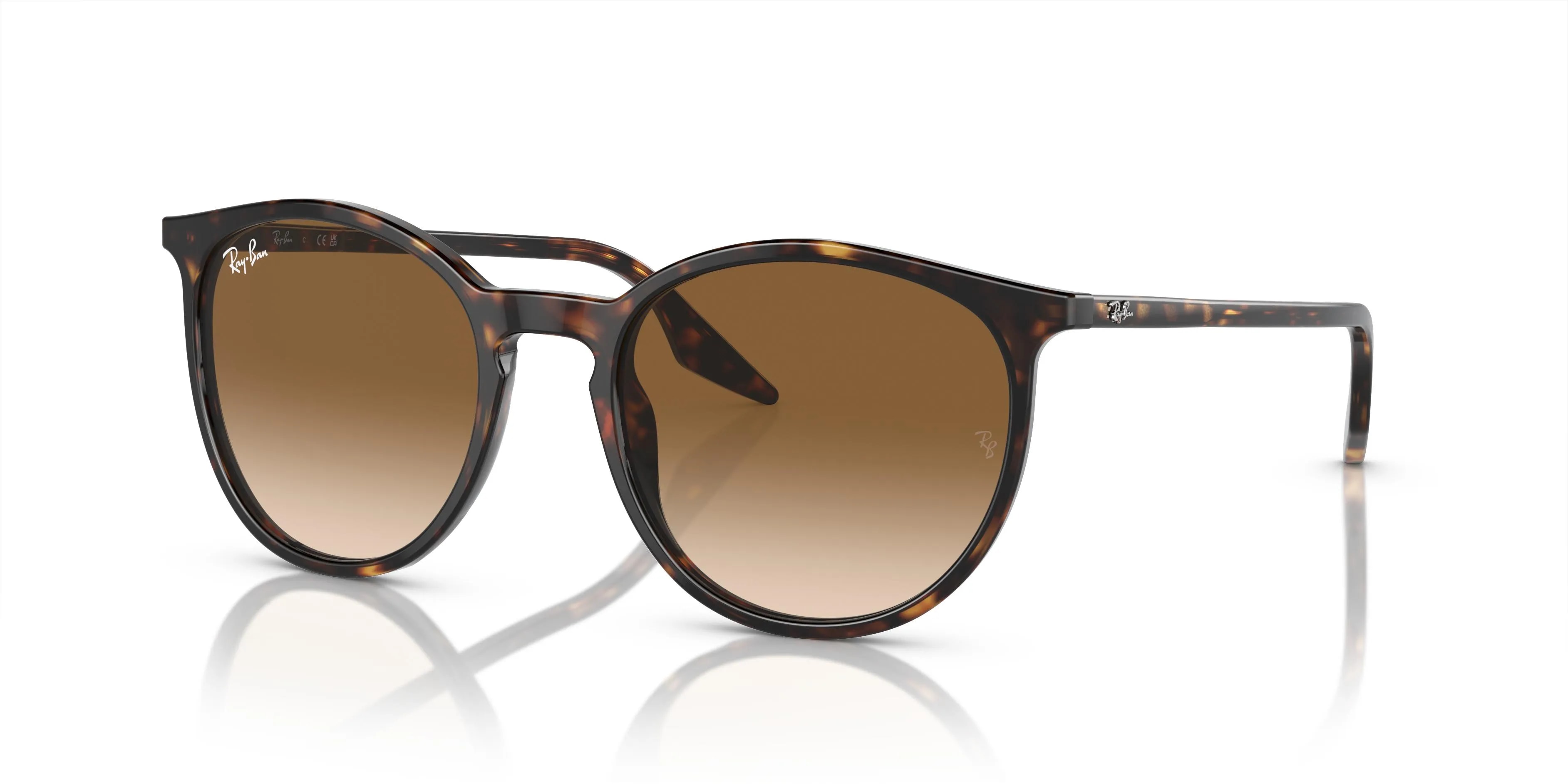 Ray-Ban  RB2204 (RB2204-902/51_51)