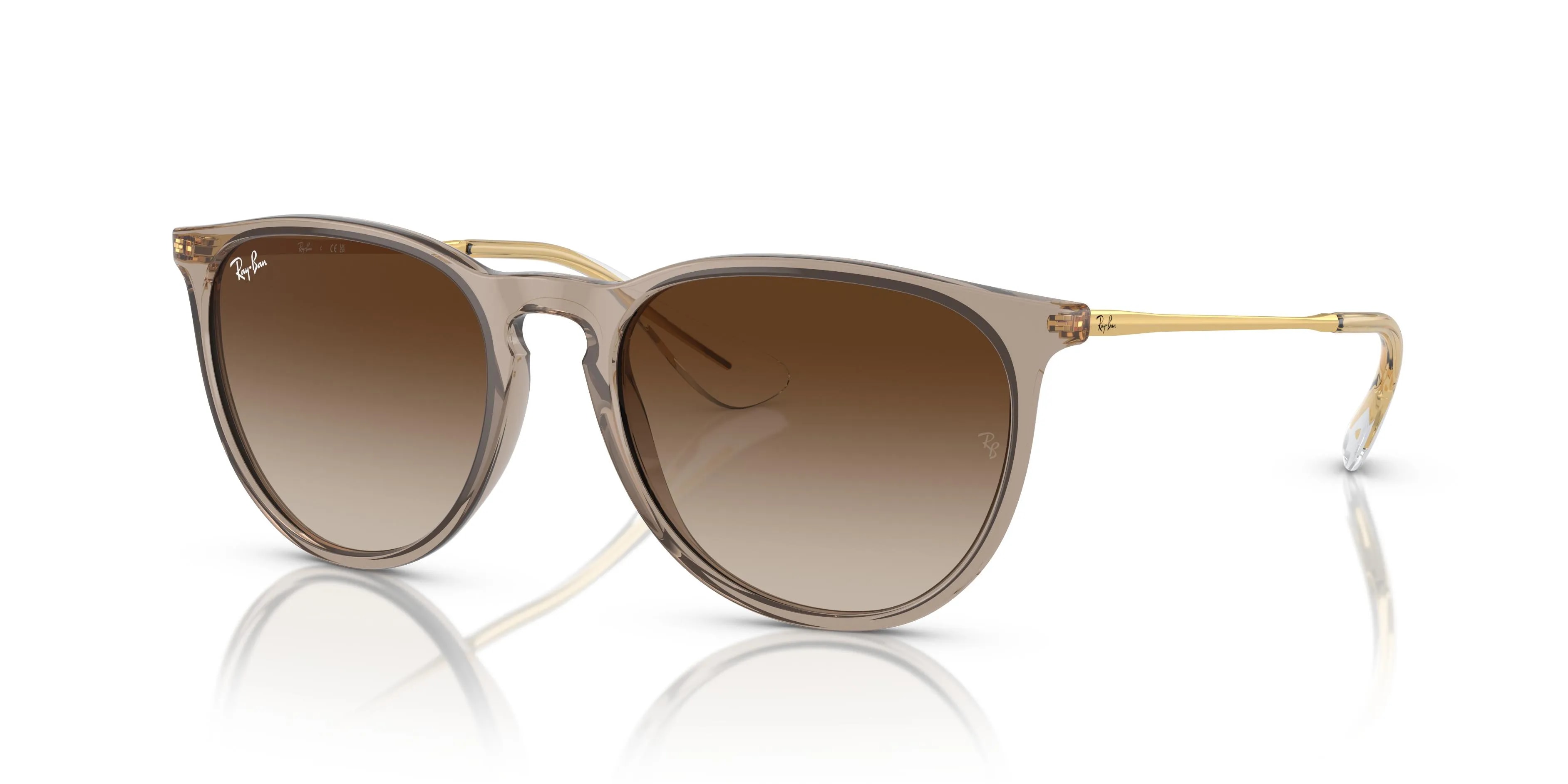 Ray-Ban ERIKA SUN (RB4171-674413_54)