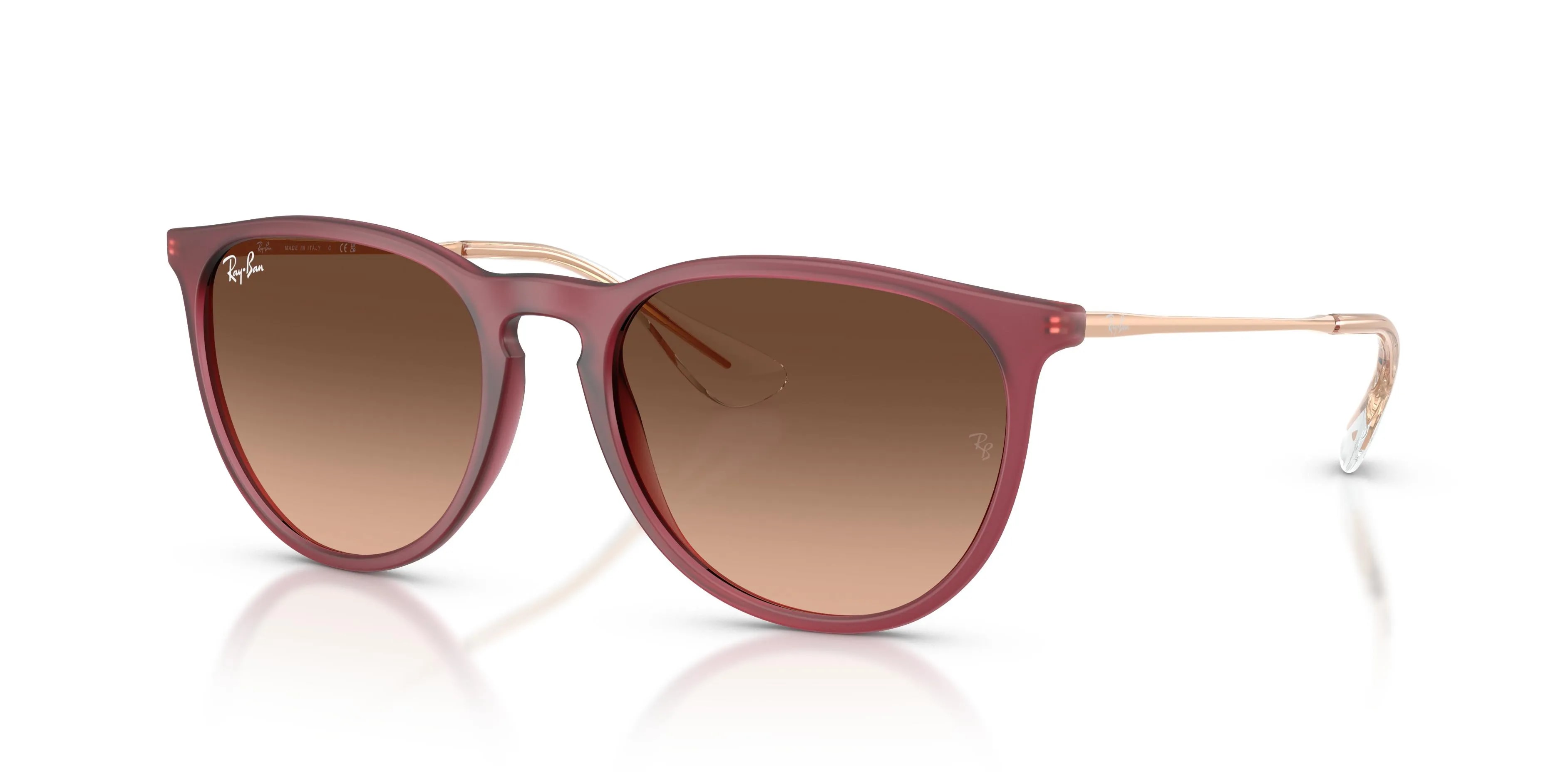 Ray-Ban ERIKA RB4171 (RB4171-6815A5_54)
