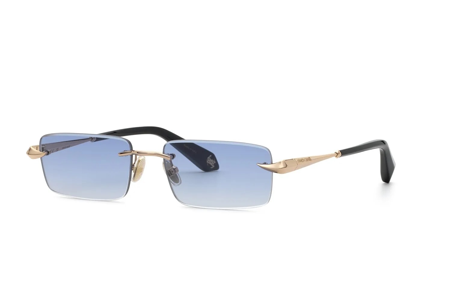 Roberto Cavalli  SRC206M (SRC206M-300B_55)