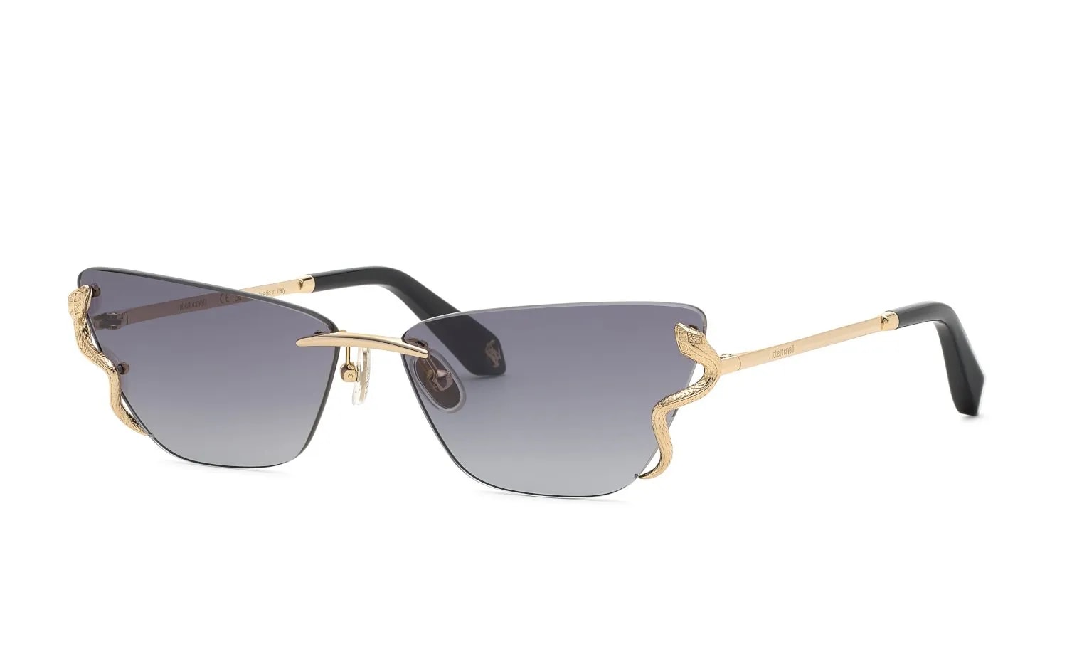 Roberto Cavalli  SRC194M (SRC194M-0300_64)