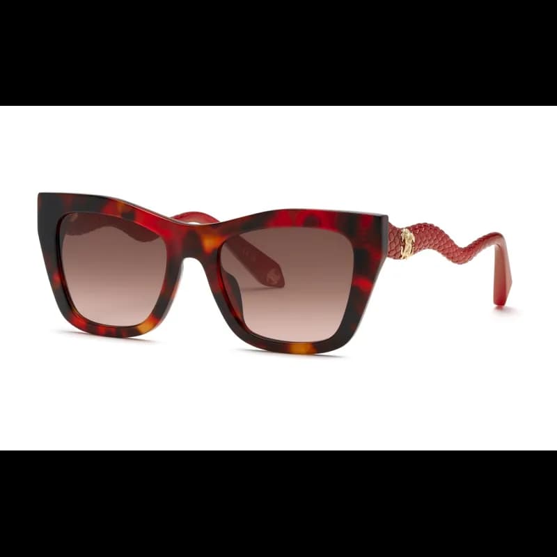 Roberto Cavalli SRC129M Roberto Cavalli SRC129M