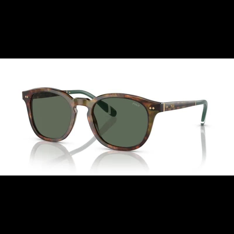 Polo Ralph Lauren PH4206 Polo Ralph Lauren PH4206